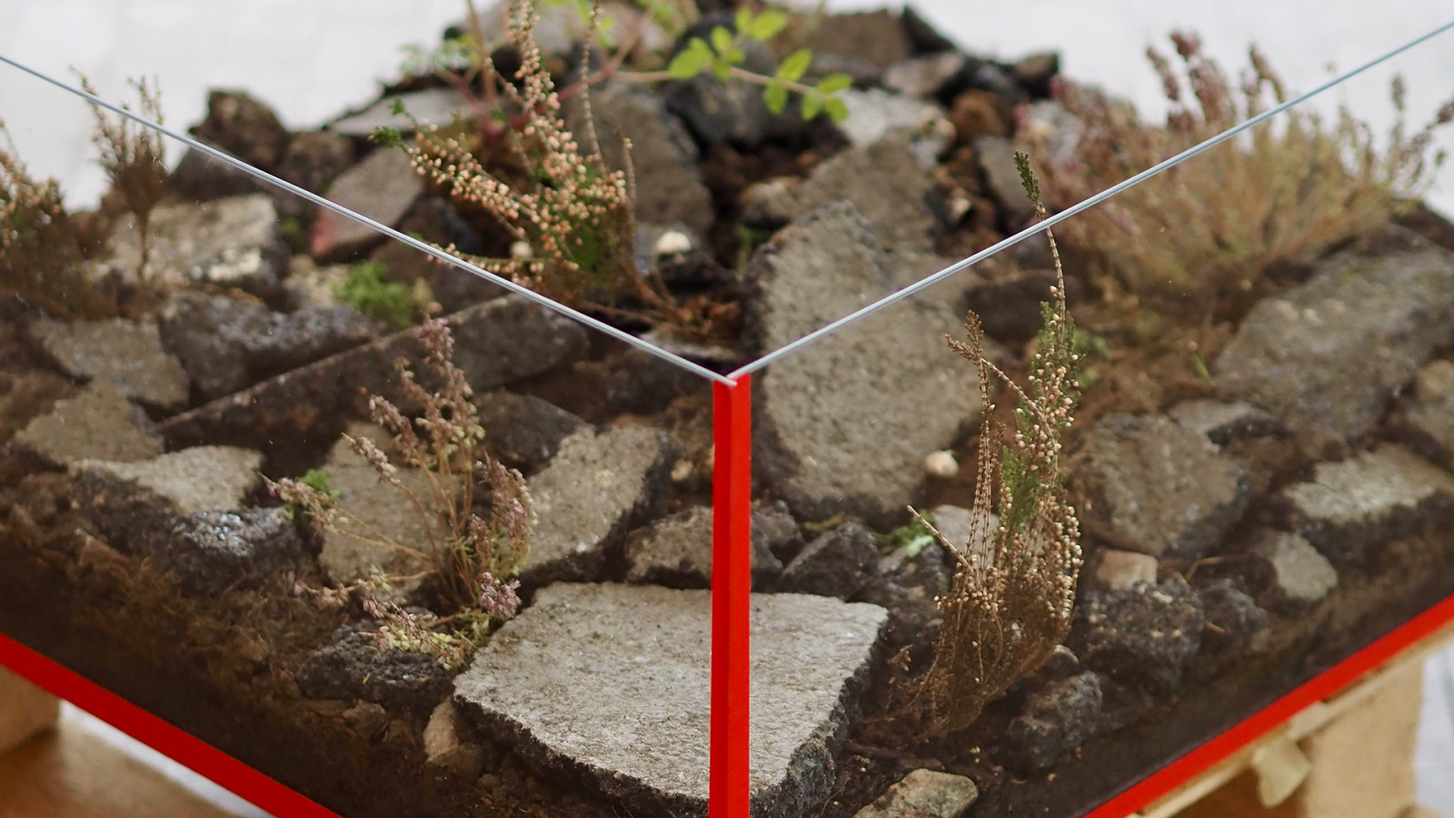 Foto fra konkurrence