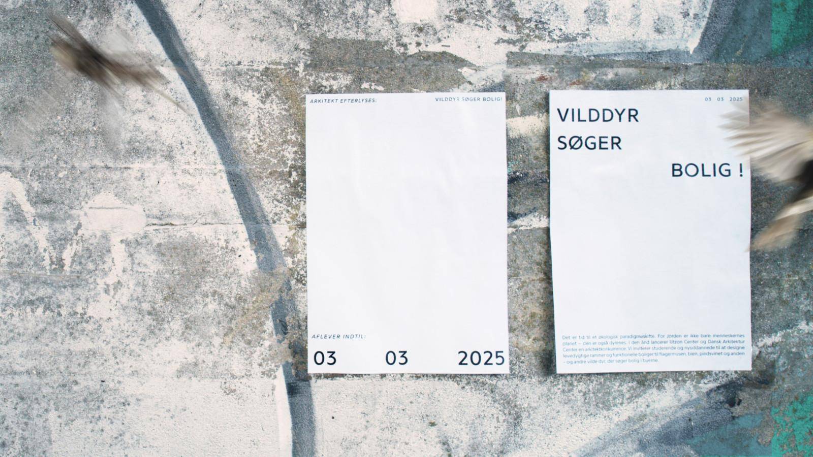 Vilddyr søger bolig