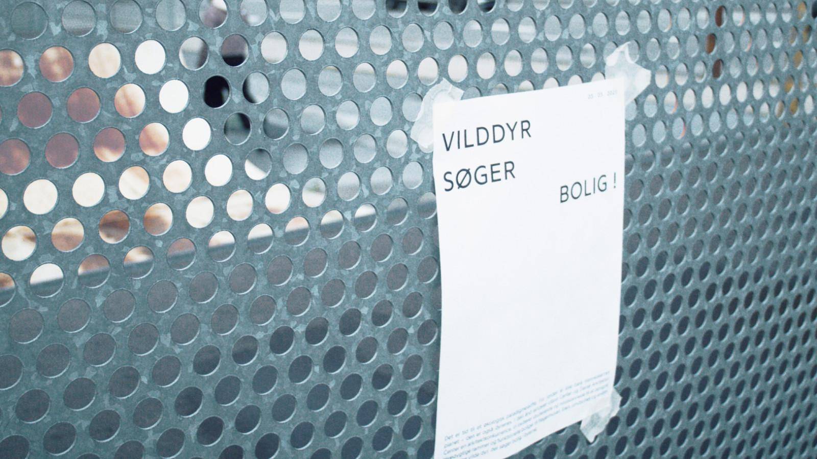 Vilddyr søger bolig