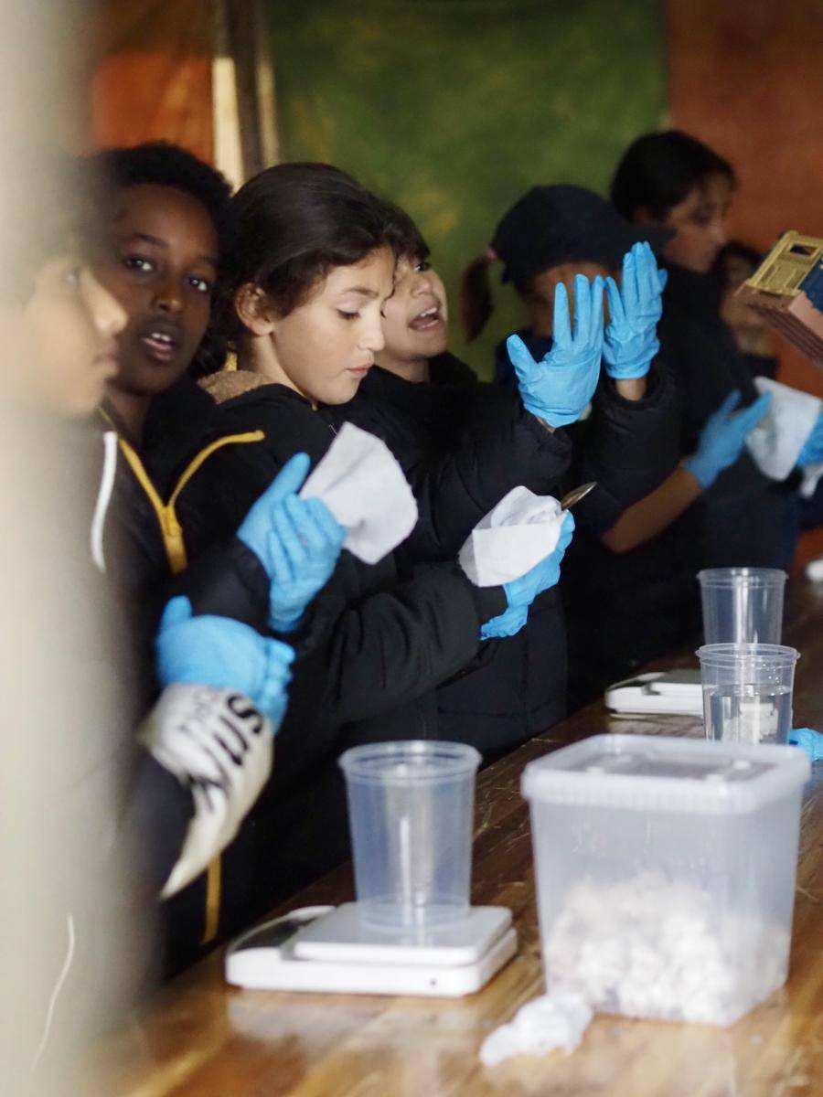 bæredygtighedsfestival